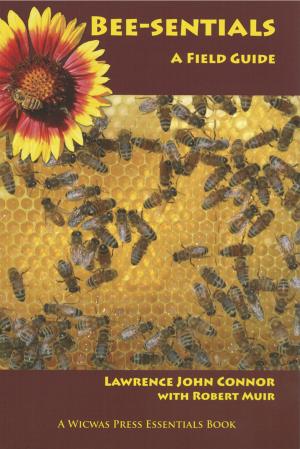 Book Cover: Bee-sentials: A Field Guide