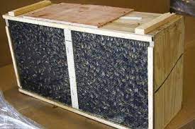 Michigan Honeybee Package Bee Info and Recommendations