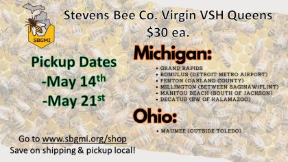 (5.14.24 Manitou Beach, MI) Stevens Bee Co. VSH Spring Virgin Queen Group Order